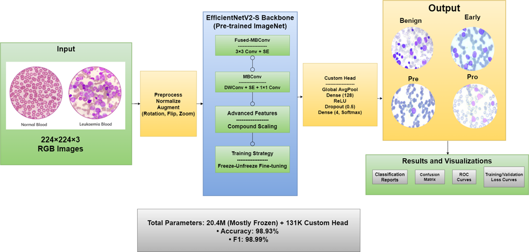 Leukemia Diagnosis System preview image